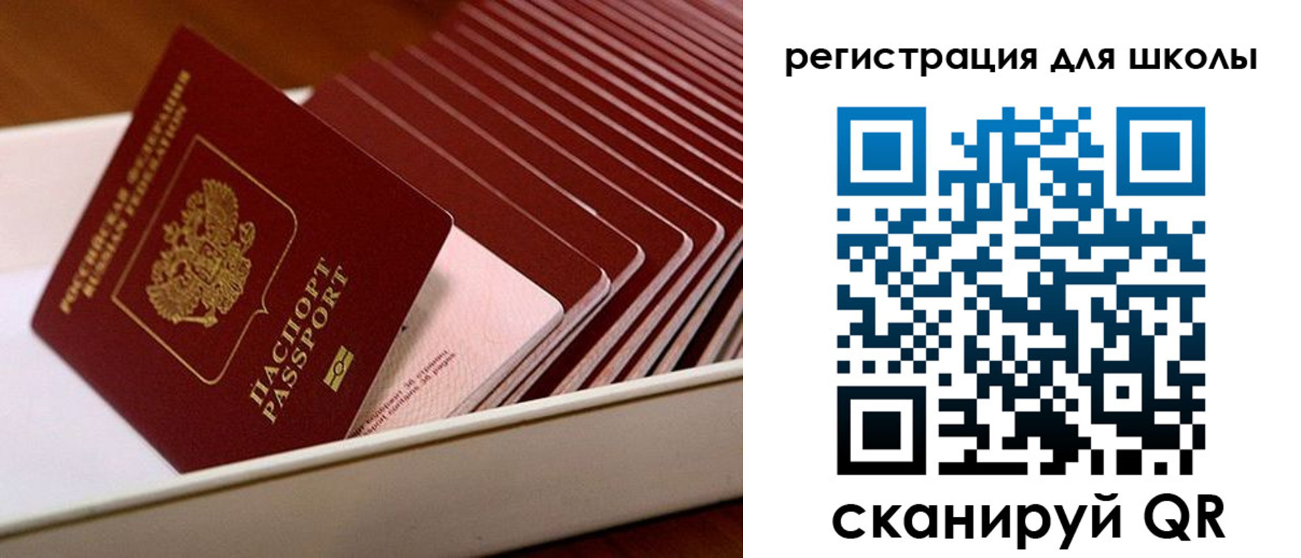 прописка гарантия в Калуге